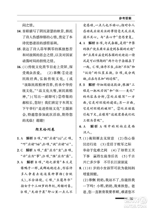 北京师范大学出版社2025年春配套综合练习九年级语文下册通用版答案