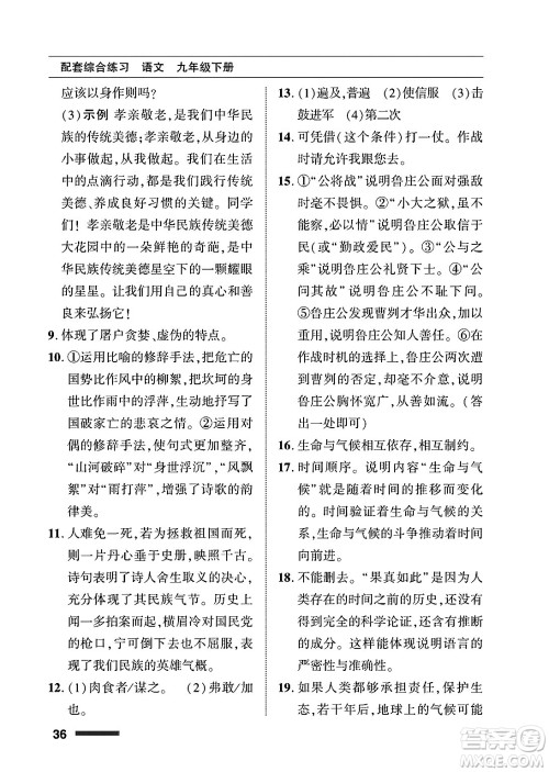 北京师范大学出版社2025年春配套综合练习九年级语文下册通用版答案
