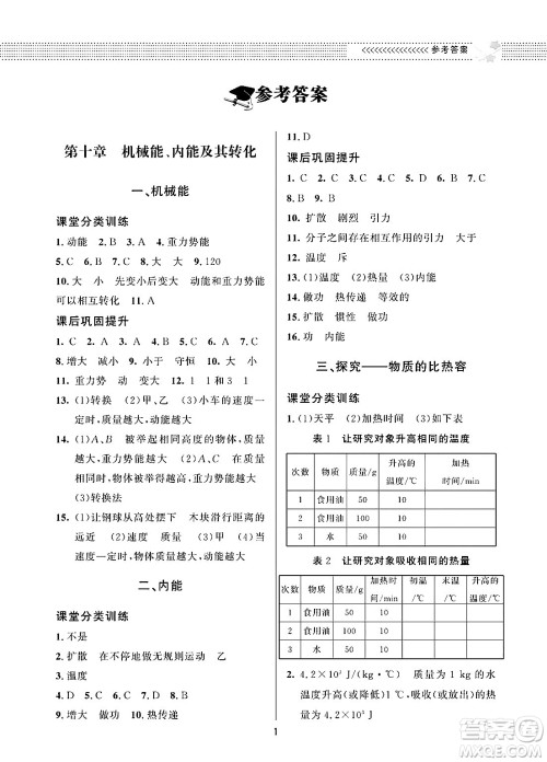 北京师范大学出版社2025年春配套综合练习九年级物理下册北师大版答案