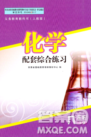 甘肃文化出版社2025年春配套综合练习九年级化学下册人教版答案