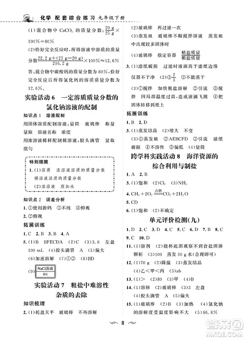甘肃文化出版社2025年春配套综合练习九年级化学下册人教版答案