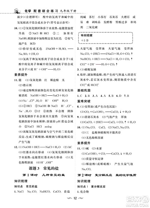 甘肃文化出版社2025年春配套综合练习九年级化学下册人教版答案