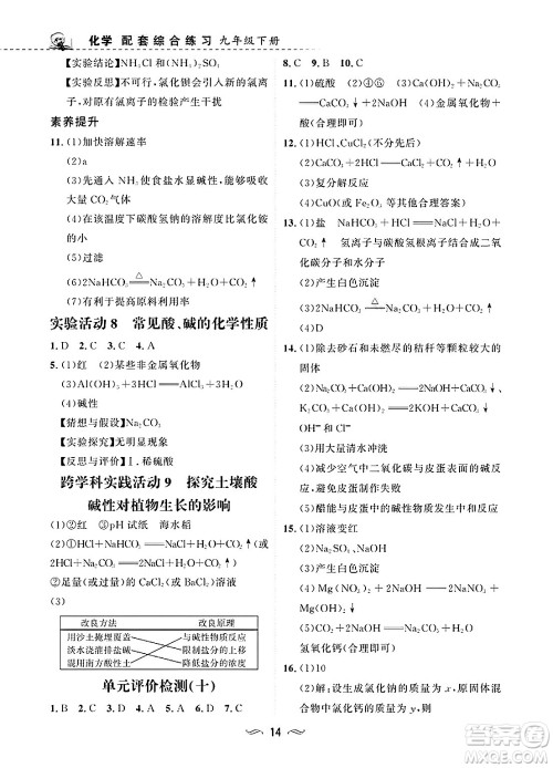 甘肃文化出版社2025年春配套综合练习九年级化学下册人教版答案