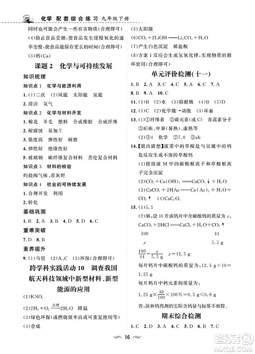 甘肃文化出版社2025年春配套综合练习九年级化学下册人教版答案