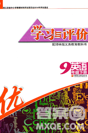 江苏凤凰教育出版社2025年春学习与评价九年级英语下册译林版答案