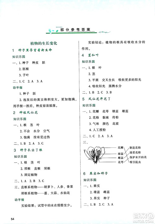 陕西人民教育出版社2025年春学习与评价四年级科学下册教科版答案 陕西人民教育出版社2025年春学习与评价四年级科学下册教科版答案