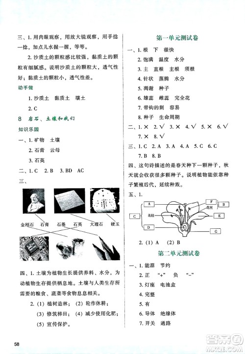 陕西人民教育出版社2025年春学习与评价四年级科学下册教科版答案 陕西人民教育出版社2025年春学习与评价四年级科学下册教科版答案