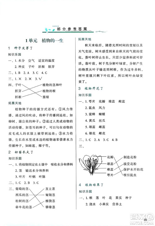 陕西人民教育出版社2025年春学习与评价三年级科学下册苏教版答案
