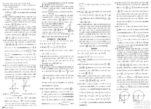 安徽师范大学出版社2025年春名校课堂九年级数学下册人教版河北专版答案 安徽师范大学出版社2025年春名校课堂九年级数学下册人教版河北专版答案