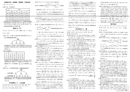 广东经济出版社2025年春名校课堂九年级数学下册湘教版湖南专版答案