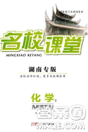 广东经济出版社2025年春名校课堂九年级化学下册人教版湖南专版答案