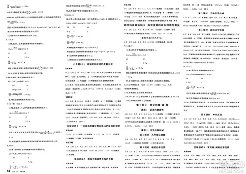 广东经济出版社2025年春名校课堂九年级化学下册人教版湖南专版答案