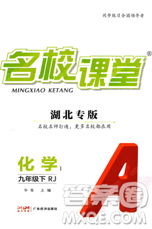 广东经济出版社2025年春名校课堂九年级化学下册人教版湖北专版答案
