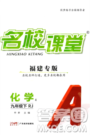 广东经济出版社2025年春名校课堂九年级化学下册人教版福建专版答案