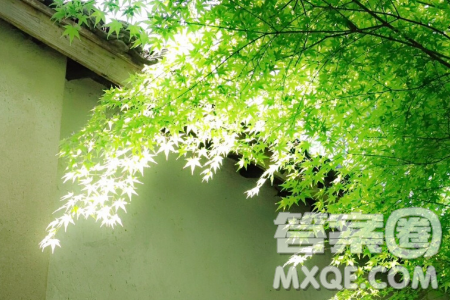 我相信一片草叶所需费的工程不会少于星星的材料作文800字