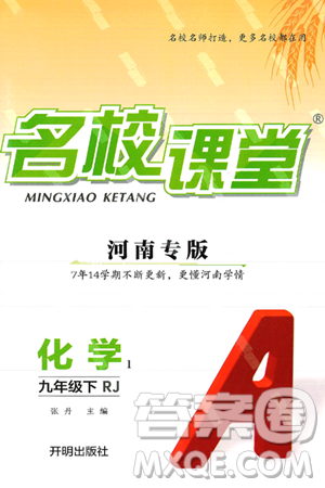 开明出版社2025年春名校课堂九年级化学下册人教版河南专版答案 开明出版社2025年春名校课堂九年级化学下册人教版河南专版答案