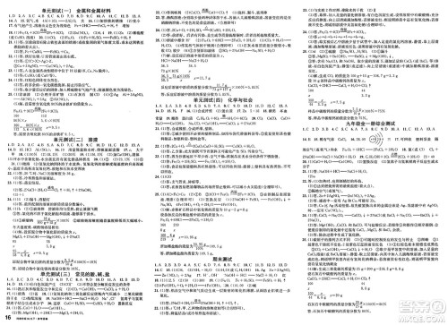 开明出版社2025年春名校课堂九年级化学下册人教版河南专版答案 开明出版社2025年春名校课堂九年级化学下册人教版河南专版答案