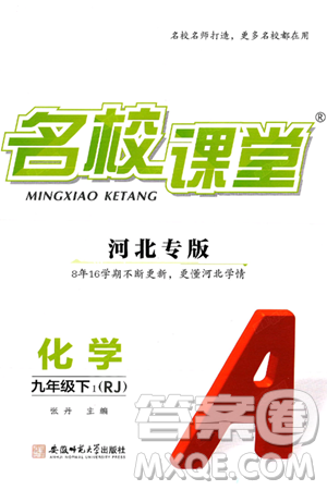 安徽师范大学出版社2025年春名校课堂九年级化学下册人教版河北专版答案