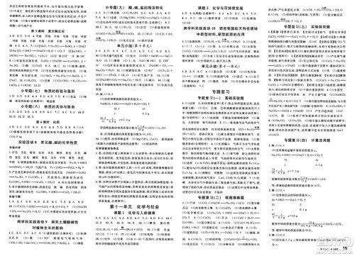 安徽师范大学出版社2025年春名校课堂九年级化学下册人教版河北专版答案