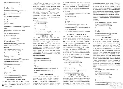 安徽师范大学出版社2025年春名校课堂九年级化学下册人教版河北专版答案