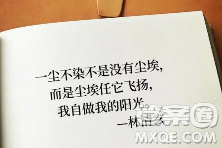 一尘不染不是没有尘埃而是尘埃任它飞扬材料作文800字 一尘不染不是没有尘埃而是尘埃任它飞扬材料作文800字