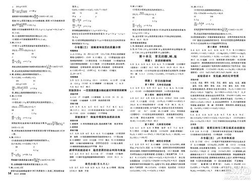 开明出版社2025年春名校课堂九年级化学下册人教版答案