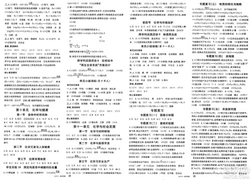 广东经济出版社2025年春名校课堂九年级化学下册鲁教版答案