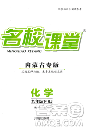开明出版社2025年春名校课堂九年级化学下册人教版内蒙古专版答案