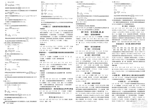 开明出版社2025年春名校课堂九年级化学下册人教版内蒙古专版答案