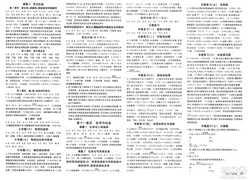 开明出版社2025年春名校课堂九年级化学下册人教版内蒙古专版答案