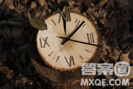 自然年龄生理年龄心理年龄材料作文800字 自然年龄生理年龄心理年龄材料作文800字