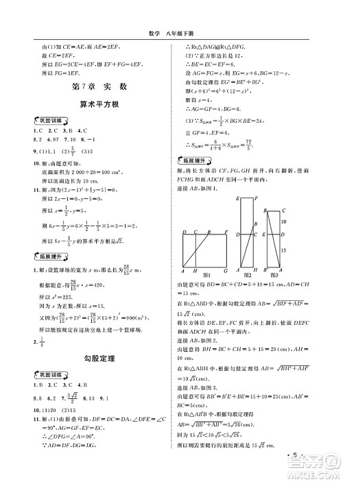 山东人民出版社2025年春初中卷行知天下八年级数学下册青岛版答案
