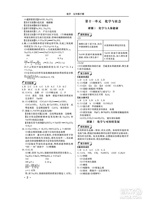 山东人民出版社2025年春初中卷行知天下九年级化学下册人教版答案