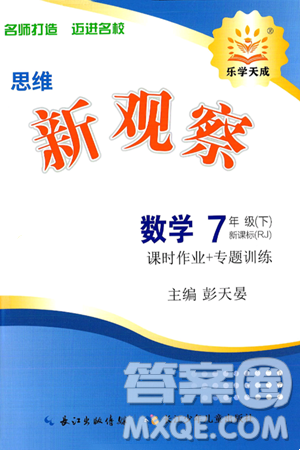 长江少年儿童出版社2025年春思维新观察七年级数学下册人教版答案