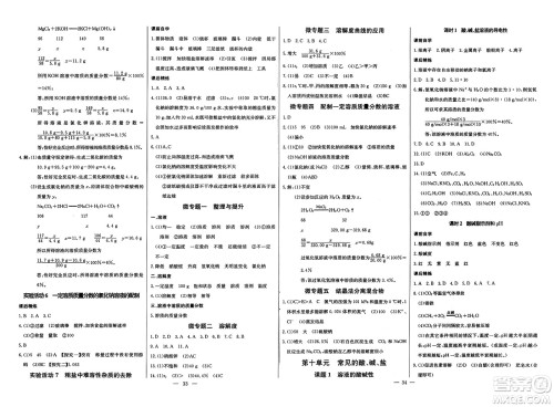 长江少年儿童出版社2025年春思维新观察九年级化学下册人教版答案