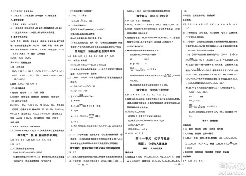 长江少年儿童出版社2025年春思维新观察九年级化学下册人教版答案
