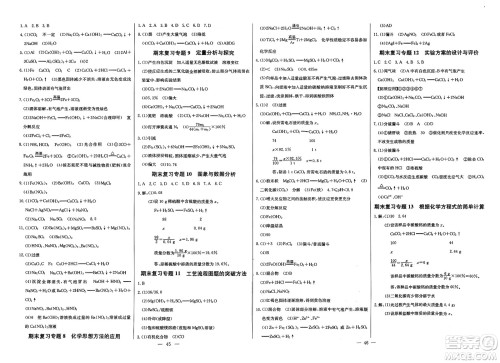 长江少年儿童出版社2025年春思维新观察九年级化学下册人教版答案