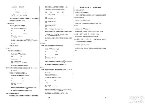 长江少年儿童出版社2025年春思维新观察九年级化学下册人教版答案