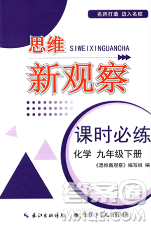 长江少年儿童出版社2025年春思维新观察课时必练九年级化学下册通用版答案 长江少年儿童出版社2025年春思维新观察课时必练九年级化学下册通用版答案