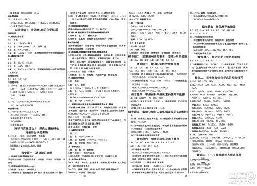 长江少年儿童出版社2025年春思维新观察课时必练九年级化学下册通用版答案 长江少年儿童出版社2025年春思维新观察课时必练九年级化学下册通用版答案