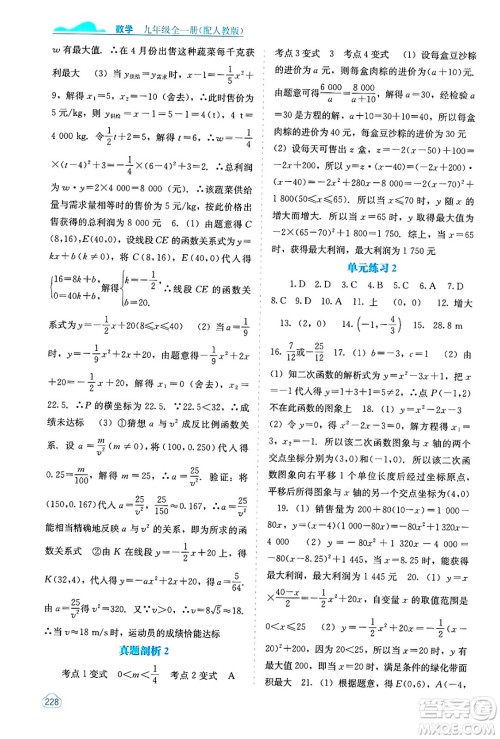 广西教育出版社2025年春自主学习能力测评九年级数学下册人教版答案
