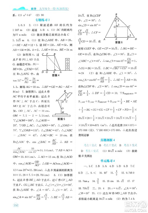 广西教育出版社2025年春自主学习能力测评九年级数学下册湘教版答案 广西教育出版社2025年春自主学习能力测评九年级数学下册湘教版答案
