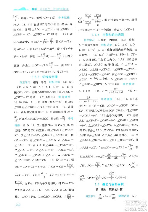 广西教育出版社2025年春自主学习能力测评九年级数学下册湘教版答案 广西教育出版社2025年春自主学习能力测评九年级数学下册湘教版答案