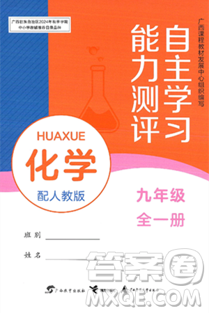 广西教育出版社2025年春自主学习能力测评九年级化学下册人教版答案 广西教育出版社2025年春自主学习能力测评九年级化学下册人教版答案
