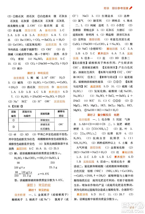 广西教育出版社2025年春自主学习能力测评九年级化学下册人教版答案 广西教育出版社2025年春自主学习能力测评九年级化学下册人教版答案