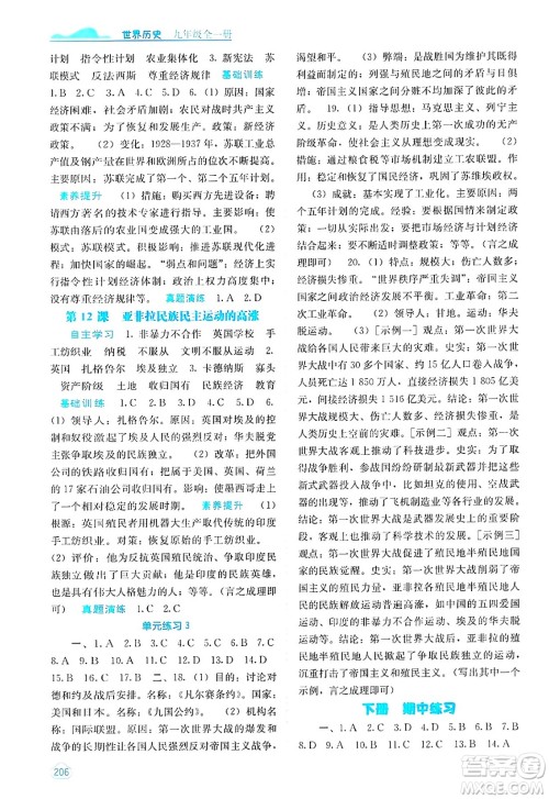 广西教育出版社2025年春自主学习能力测评九年级历史下册通用版答案 广西教育出版社2025年春自主学习能力测评九年级历史下册通用版答案