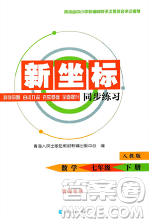 青海人民出版社2025年春新坐标同步练习七年级数学下册人教版青海专版答案