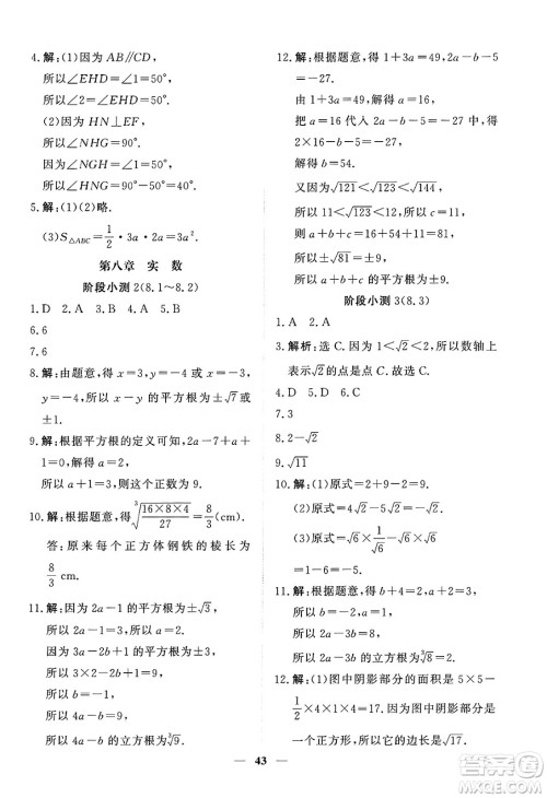 青海人民出版社2025年春新坐标同步练习七年级数学下册人教版青海专版答案