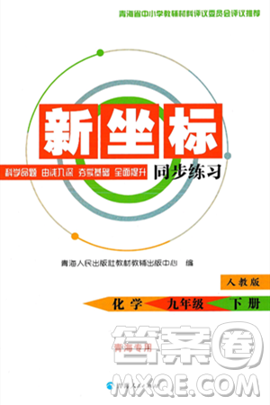 青海人民出版社2025年春新坐标同步练习九年级化学下册人教版青海专版答案