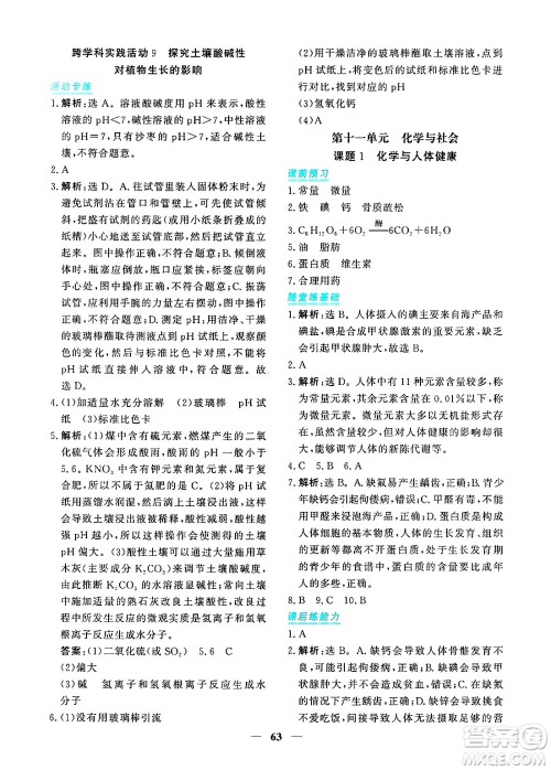 青海人民出版社2025年春新坐标同步练习九年级化学下册人教版青海专版答案